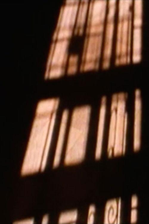 the willing voyeur... 1996 official movie poster