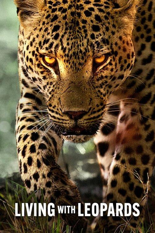 Living with Leopards 2024 official movie poster