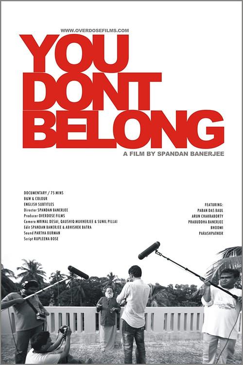 You Don't Belong 2011 official movie poster