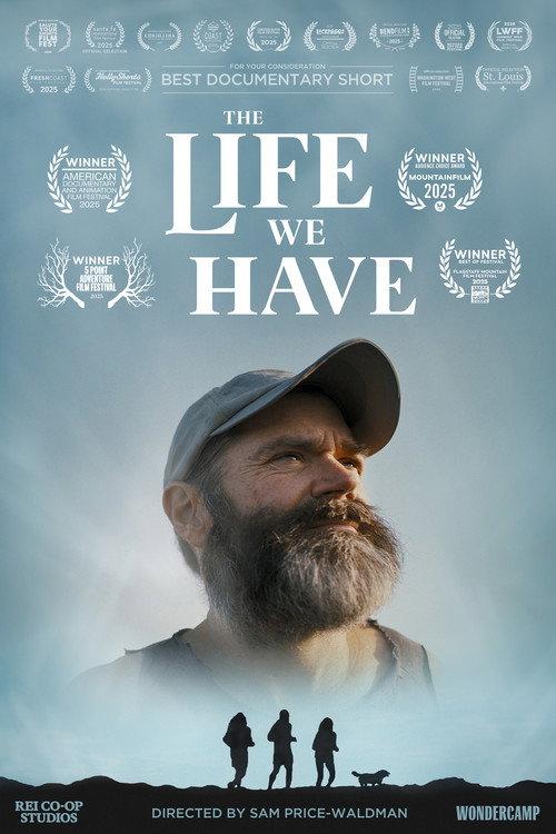 The Life We Have 2025 official movie poster