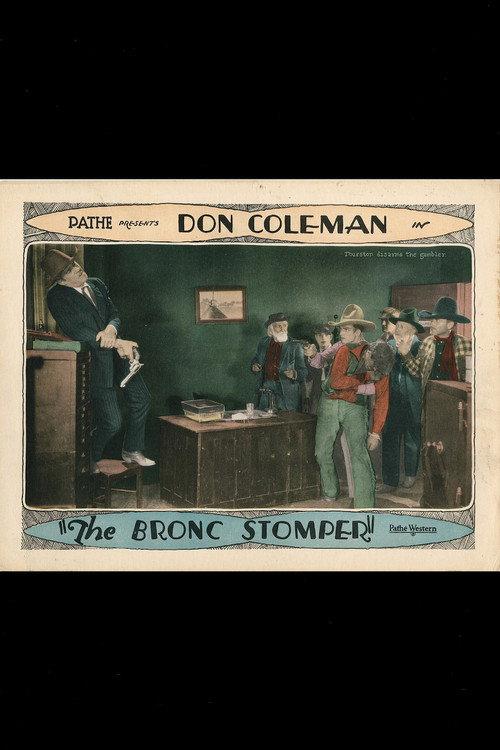 The Bronc Stomper 1928 official movie poster