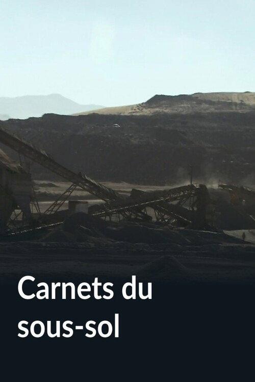 Carnets du sous-sol 2013 official movie poster