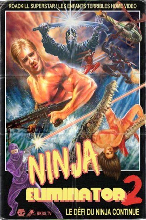 Ninja Eliminator 2: Quest of the Magic Ninja Crystal 2010 official movie poster