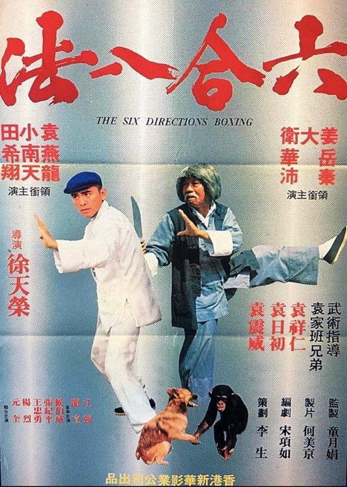 The Six Directions of Boxing 1980 official movie poster