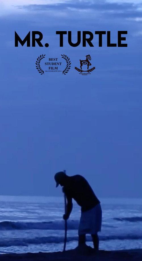 Mr. Turtle 2018 official movie poster
