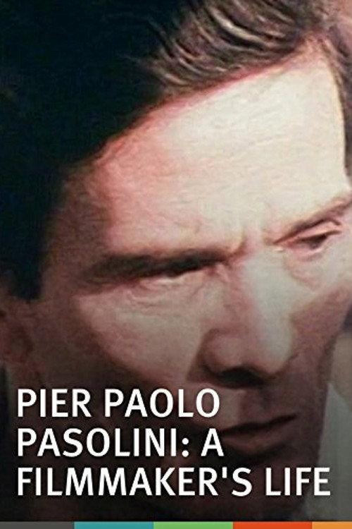 Pier Paolo Pasolini: A Film Maker's Life 1971 official movie poster