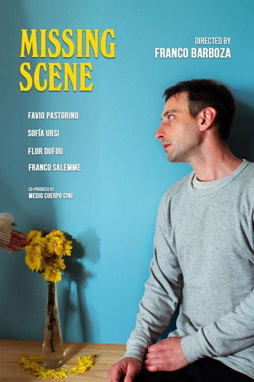 Missing Scene 2024 official movie poster