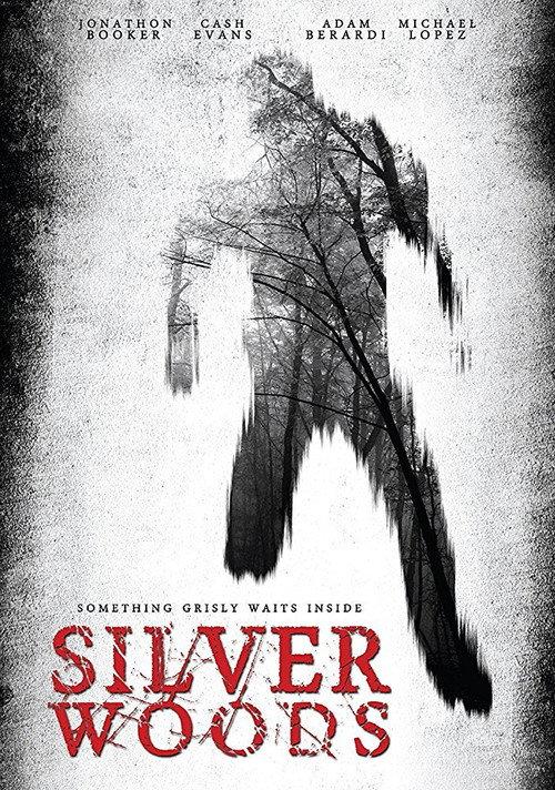 Silver Woods 2017 official movie poster