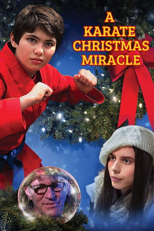 A Karate Christmas Miracle 2019 official movie poster