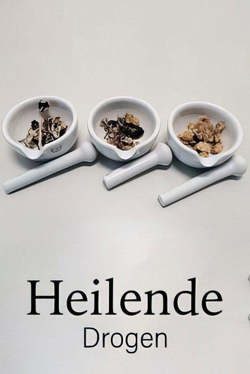 Drugs that Heal: Could Psychedelics Treat Depression? 2022 official movie poster