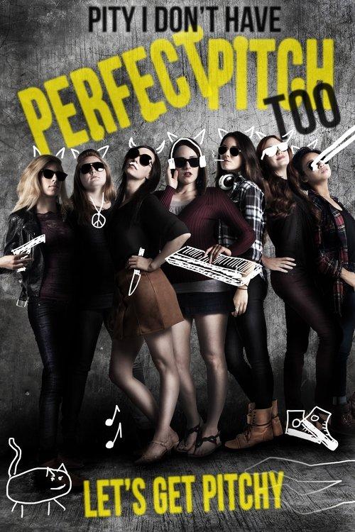 Pity I Don't Have Perfect Pitch Too 2017 official movie poster