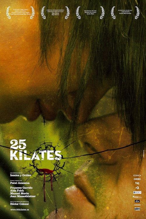 25 Carat 2008 official movie poster