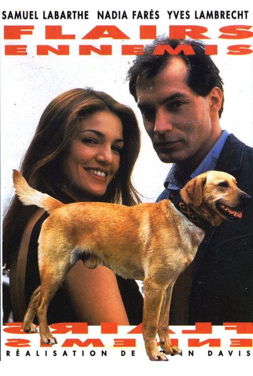 Flairs ennemis 1996 official movie poster