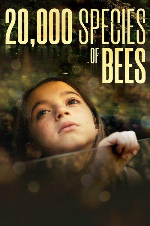 20,000 Species of Bees 2023 official movie poster