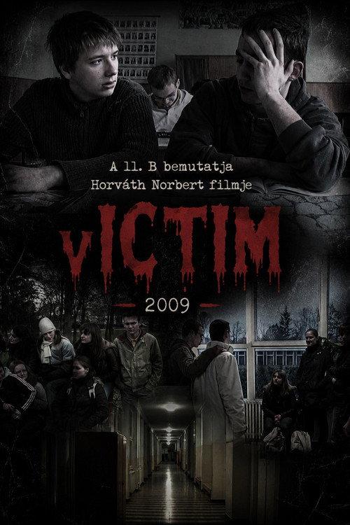 vICTIM 2009 official movie poster