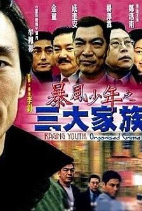 Raging Youth: Organised Crime 1999 official movie poster