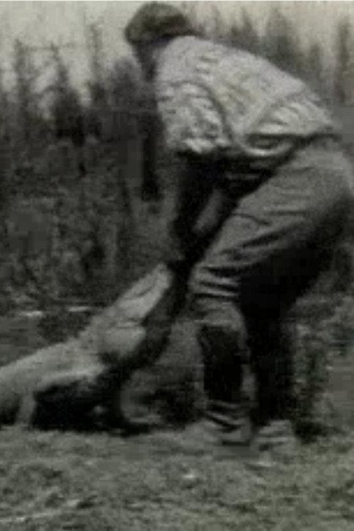Scenes of the Everglades 1928 official movie poster