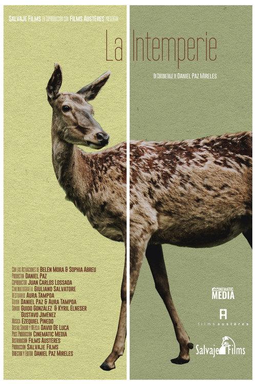 Out in the Open 2021 official movie poster
