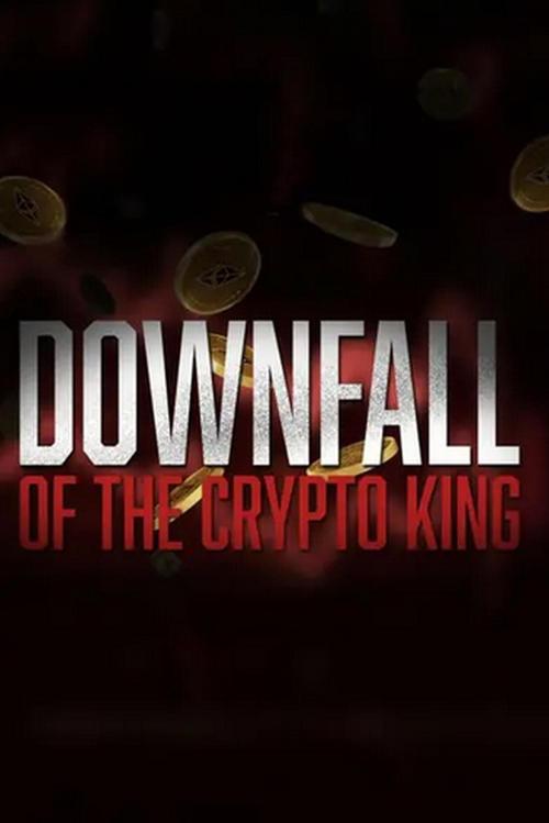 Downfall of the Crypto King 2024 official movie poster