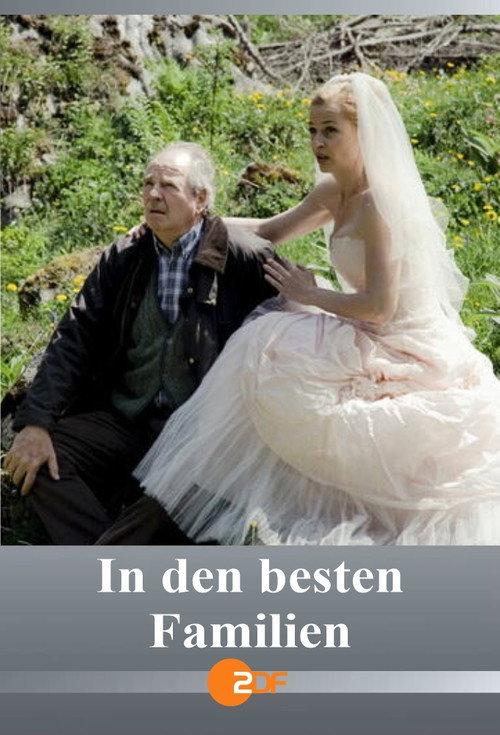 In den besten Familien 2012 official movie poster