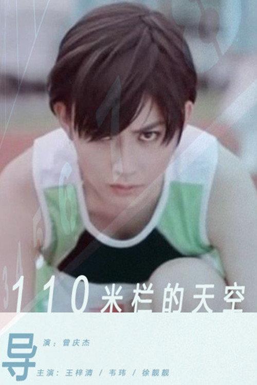 110米栏的天空 2012 official movie poster