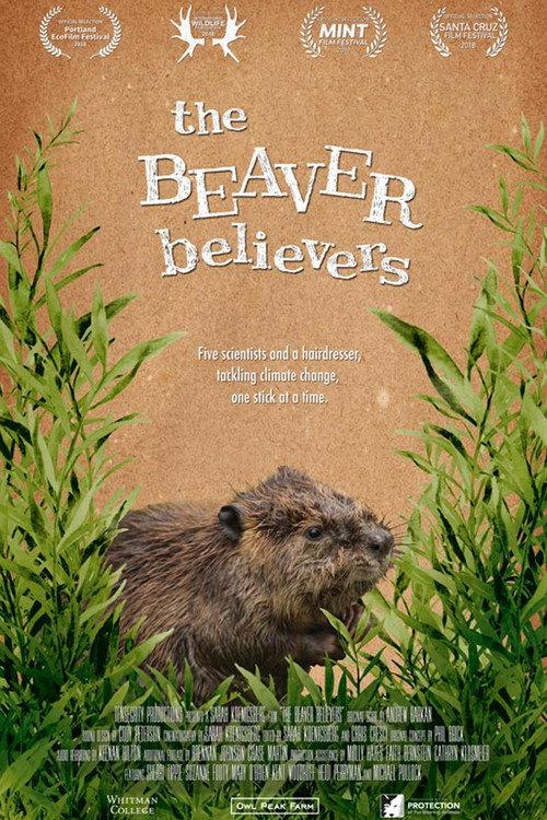The Beaver Believers 2018 official movie poster