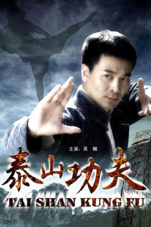 Taishan Kung Fu 2009 official movie poster