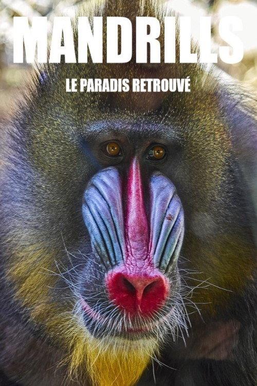Mandrills : le paradis retrouvé 2014 official movie poster