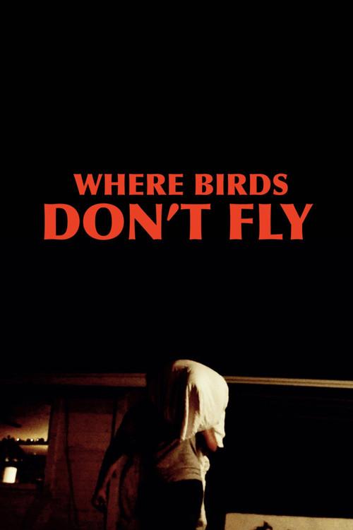Where Birds Don't Fly 2017 official movie poster