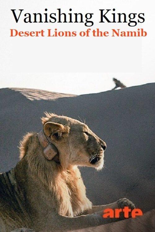 Vanishing Kings: Desert Lions of the Namib 2015 official movie poster