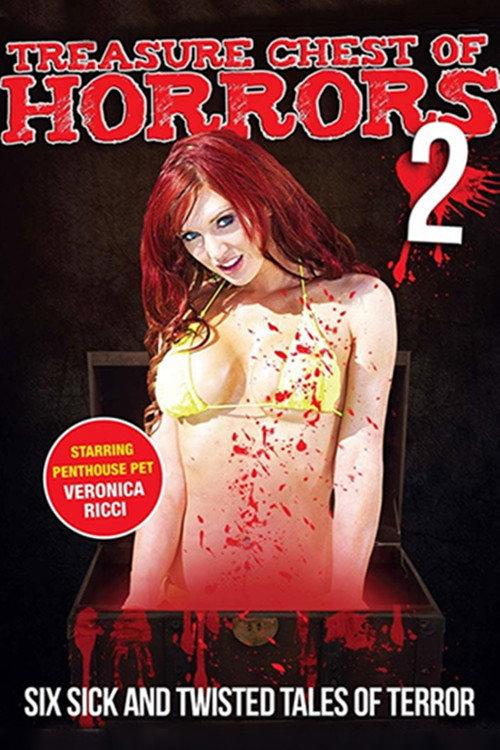 Treasure Chest of Horrors 2 2013 official movie poster