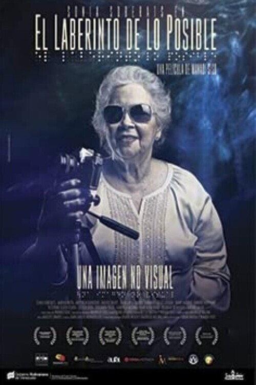 El laberinto de lo posible 2012 official movie poster