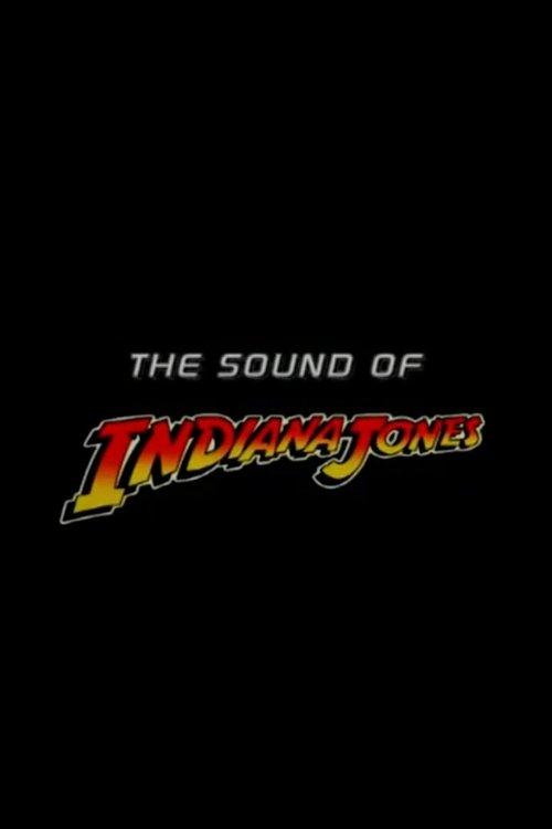 The Sound of 'Indiana Jones' 2003 official movie poster