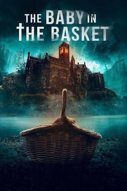The Baby in the Basket 2025 official movie poster