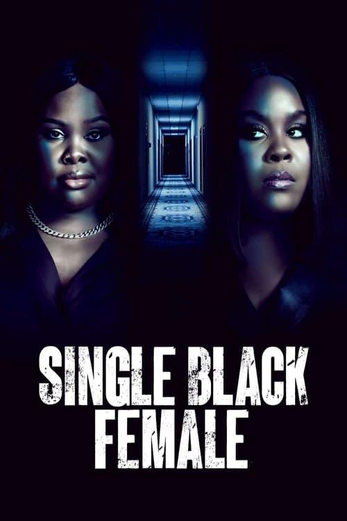 Single Black Female 2022 official movie poster