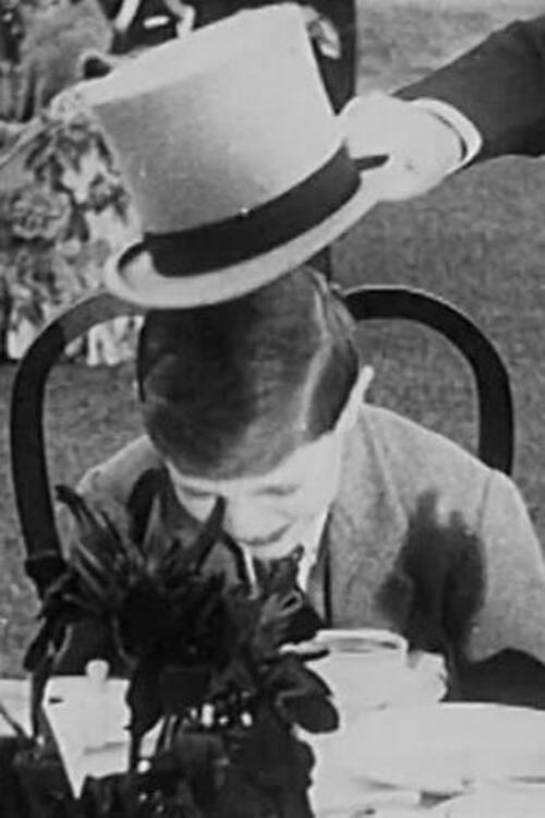 Scenes at his Excellency the Viceroys's Garden Party at Belvedere 1926 official movie poster