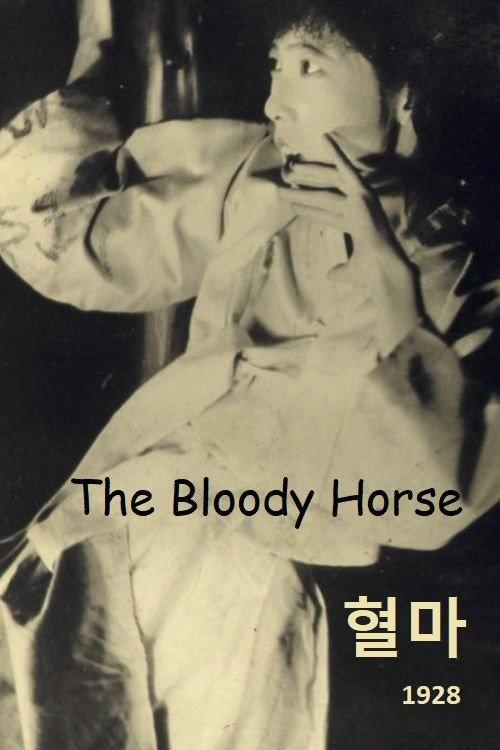 The Bloody Horse 1928 official movie poster