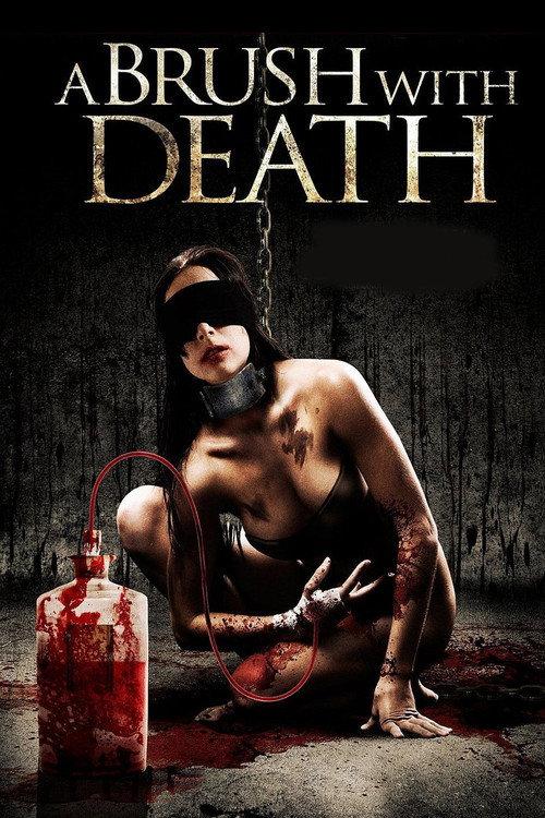 A Brush With Death 2007 official movie poster