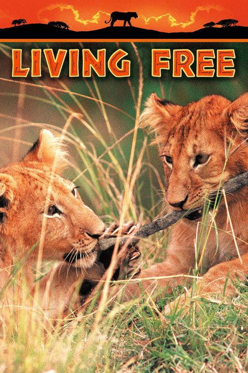 Living Free 1972 official movie poster