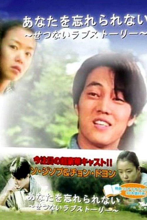 What You Cherish Can Never Be Forgotten 1998 official movie poster