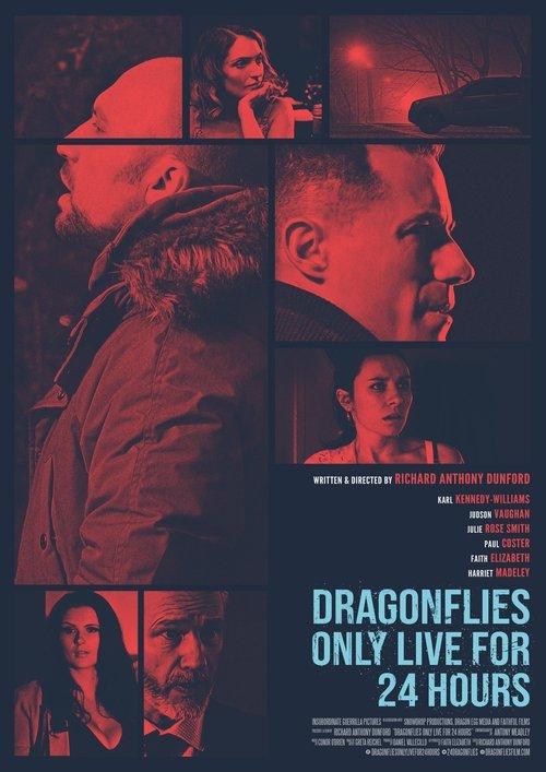 Dragonfiles Only Live for 24 Hours 2018 official movie poster