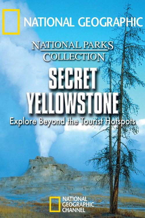 Secret Yellowstone 2007 official movie poster