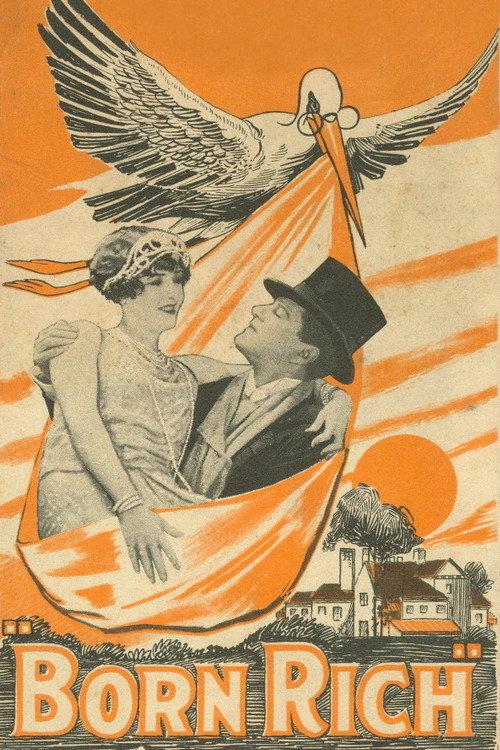 Born Rich 1924 official movie poster