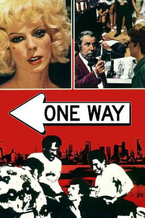 One Way 1973 official movie poster