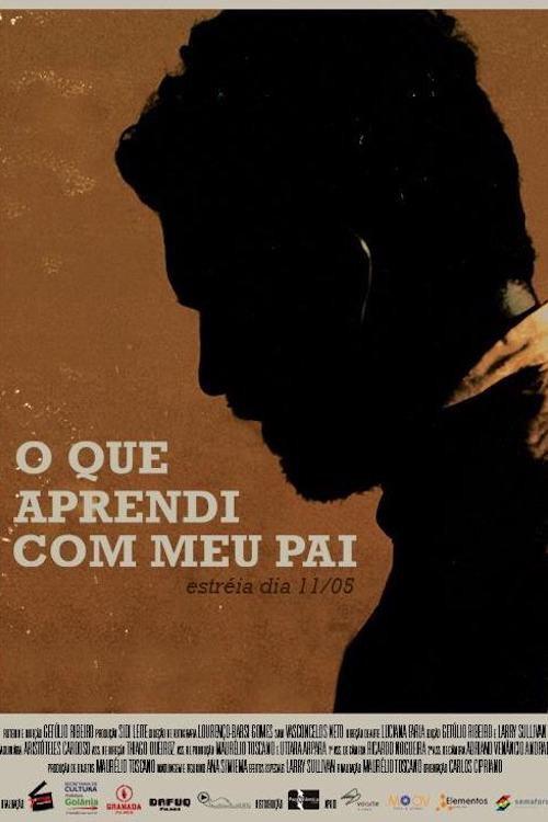 O que Aprendi com meu Pai 2013 official movie poster