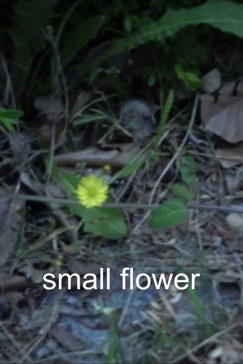 Small Flower 2022 official movie poster