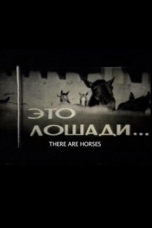 There Are Horses 1965 official movie poster