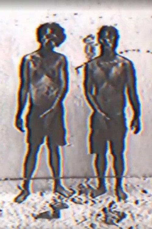 Fook Fook Boys 2017 official movie poster