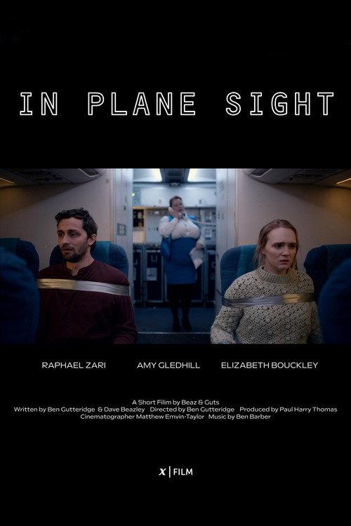 In Plane Sight 2023 official movie poster
