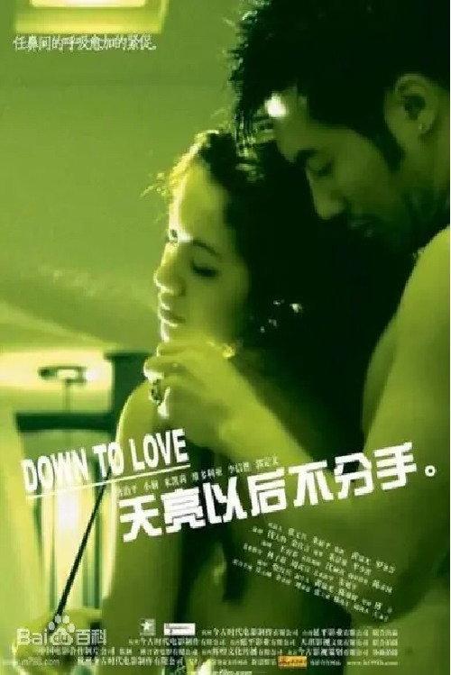 Down to Love 2006 official movie poster